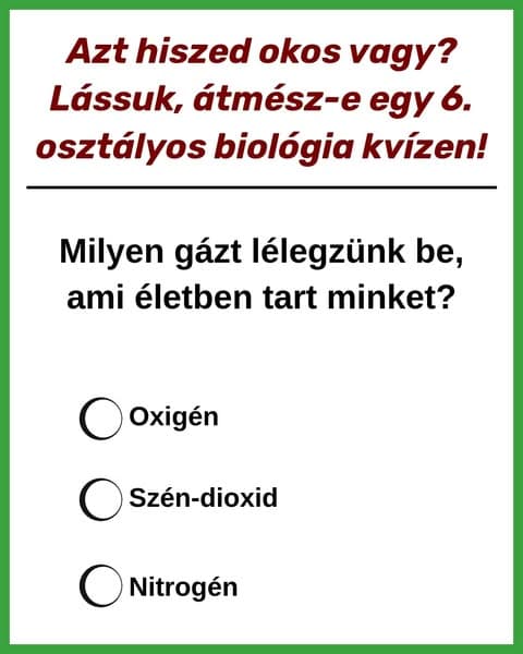 Próbáld ki az általános iskolai biológia kvízt 🚗
