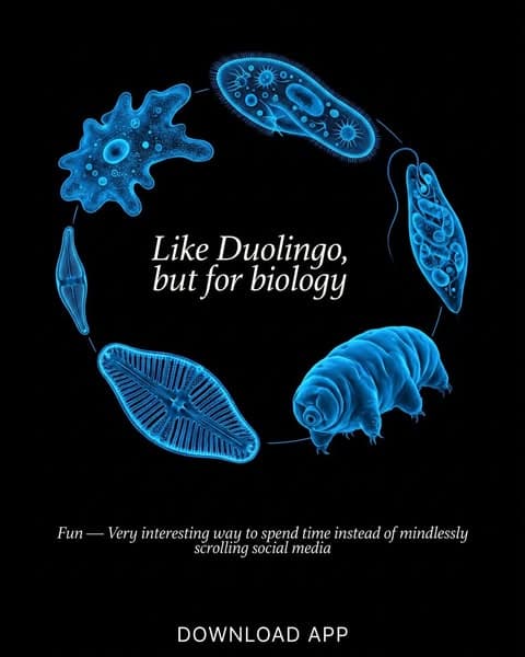 🔬 Biology, but Bite-Sized!
