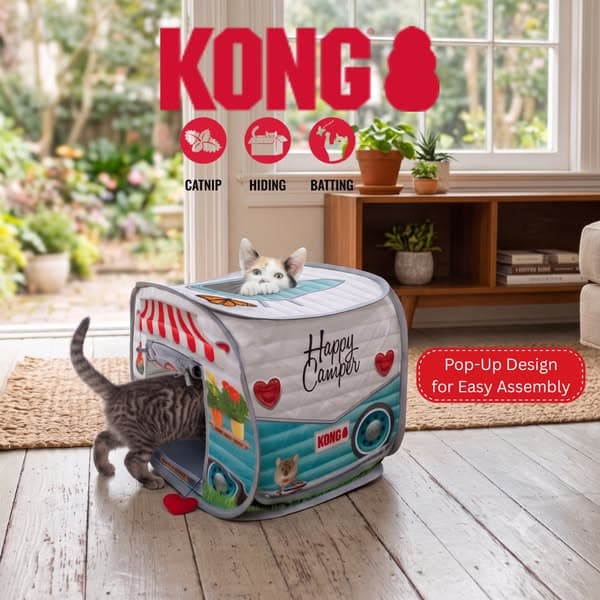 Cats love KONG