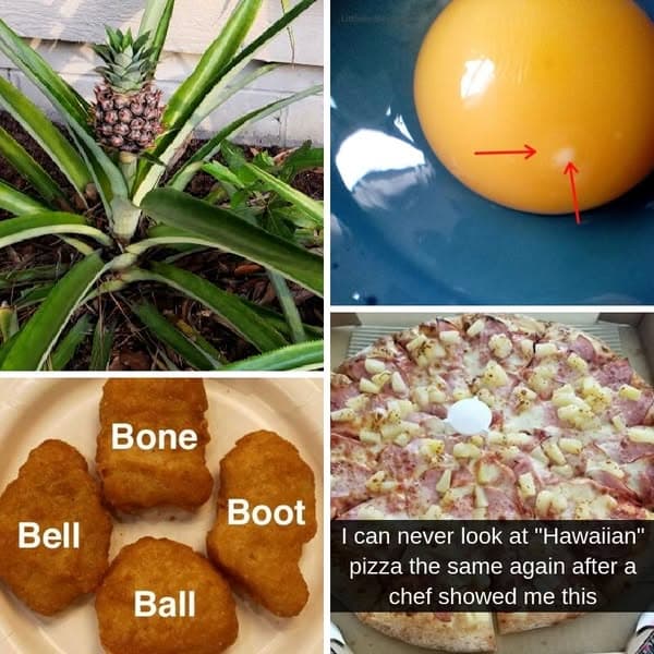 32+ Useful Facts To Help Us Get The Most Out Of Our Food