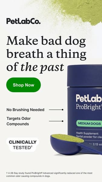 No Brushing. Just Results.