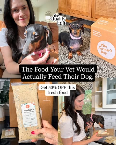 50% Off Your Dog's First Box