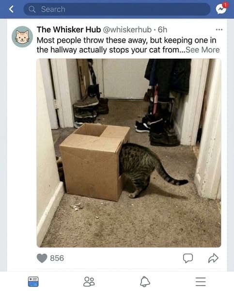 Why You Should Always Put Cardboard In The Hallway