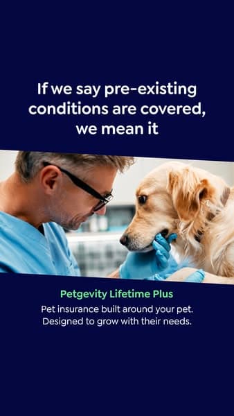 Lifetime Protection, for Less