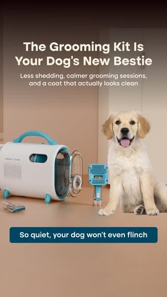 Struggling with Pet hair? Not for long!