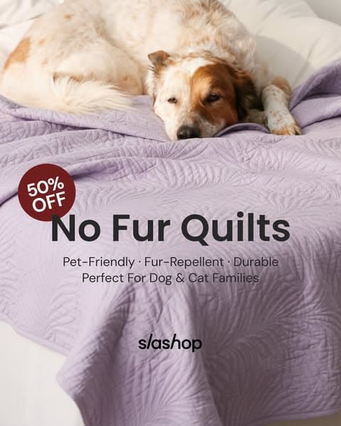 🔥Grab 50% Off Now👉