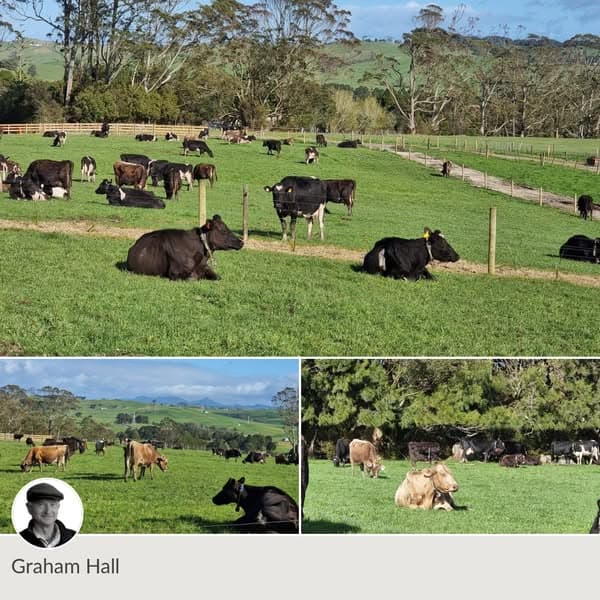 Lifestyle blocks Waipu - Taipuha