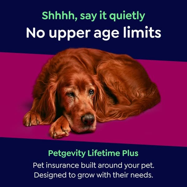 Lifetime Protection, for Less