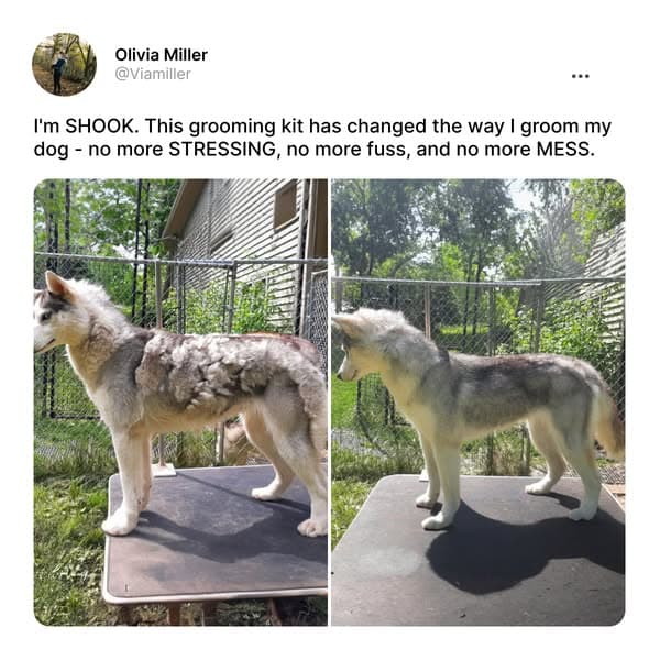 Struggling with Pet hair? Not for long!