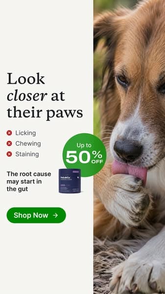 Are your dog’s paws trying to tell you something?