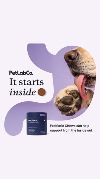 Join 2M+ Happy Dog Owners Worldwide Today ❤️