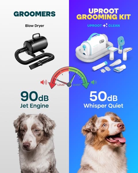 Struggling with Pet hair? Not for long!