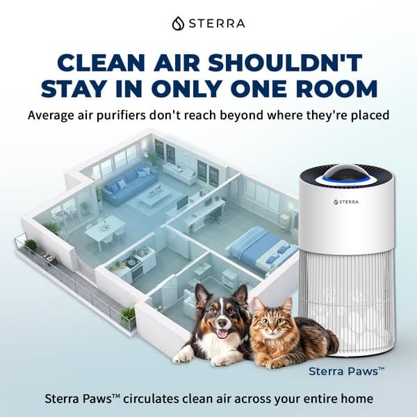 Fresh Air, Even with Pets Around