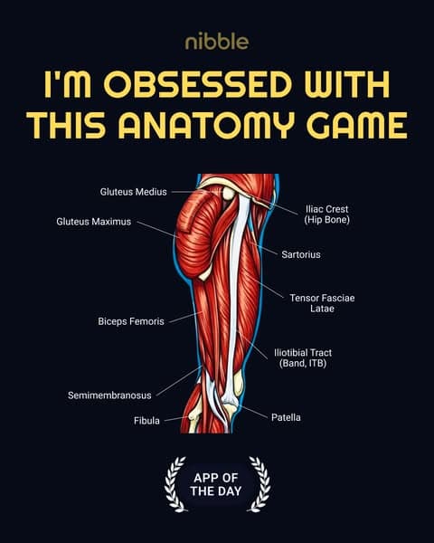 🔬 Biology, but Bite-Sized!