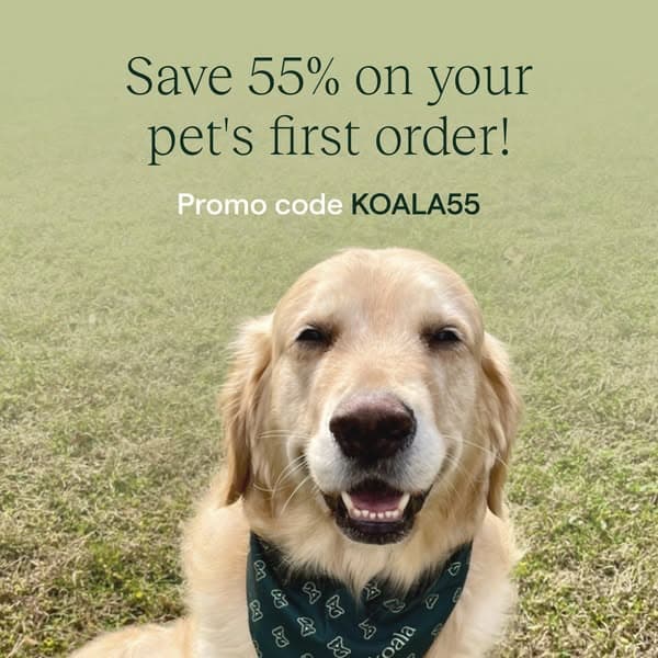 55% Off Your First Order