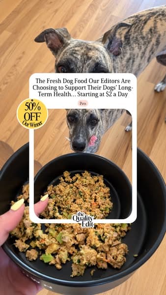 Vet-Developed Peace of Mind: 50% Off The Farmer’s Dog