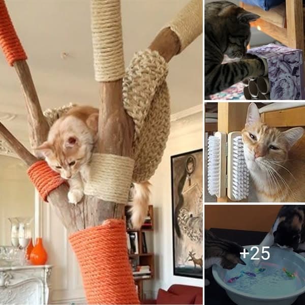 DIY Cat Toys That Will Help Keep Any Cat Happy