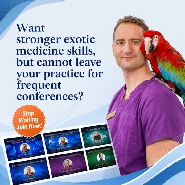 Strengthen Your Exotic Medicine Skills