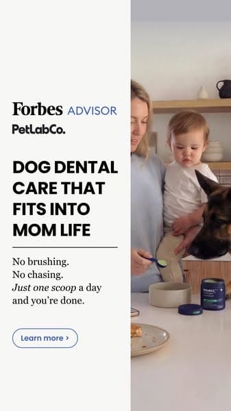 Oral Care That Fits Into Everyday Pet Parenting