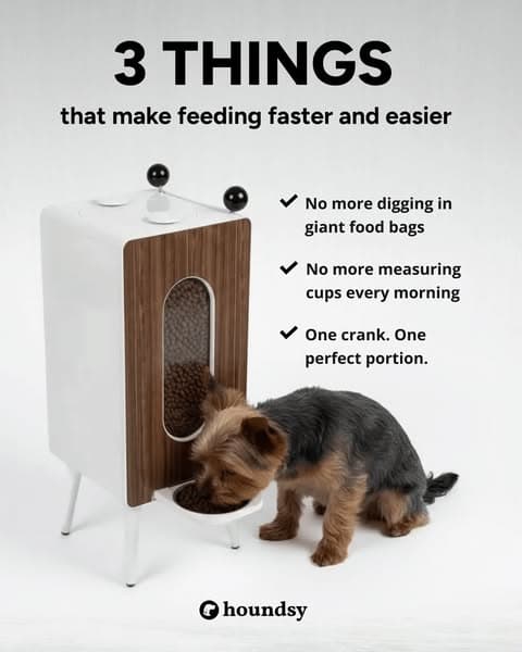 Portion-Controlled Feeder with 400+ 5-Star Reviews