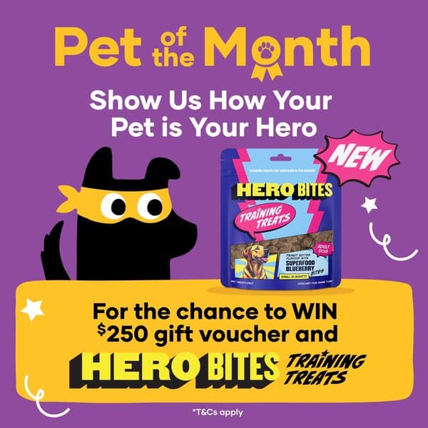 Petbarn Pet of the Month Competition 2026 | Show Us How Your Pet is Your Hero | Terms and Conditions | Petbarn Articles