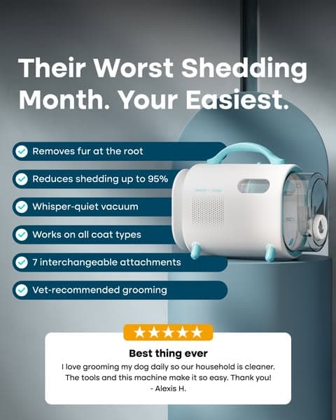 Struggling with Pet hair? Not for long!