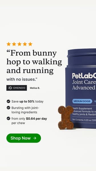 Get up to 50% OFF today 👉