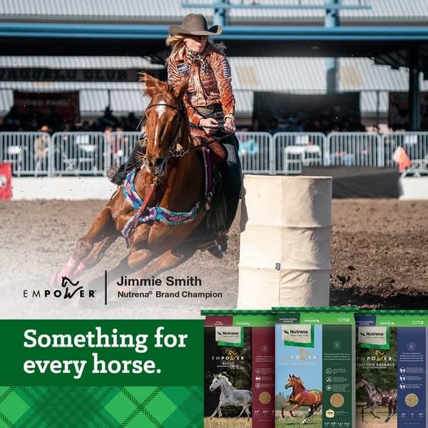 Empower Your Barrel Horse