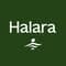 Halara Leggings