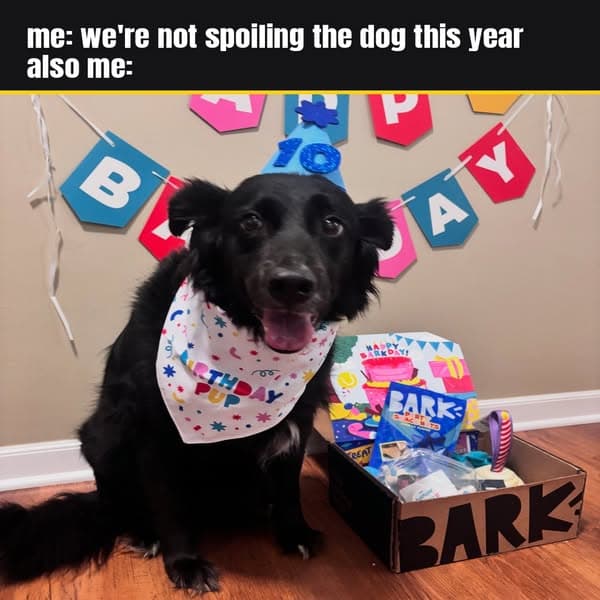 +1 FREE toy every month