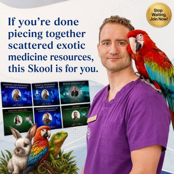 Strengthen Your Exotic Medicine Skills