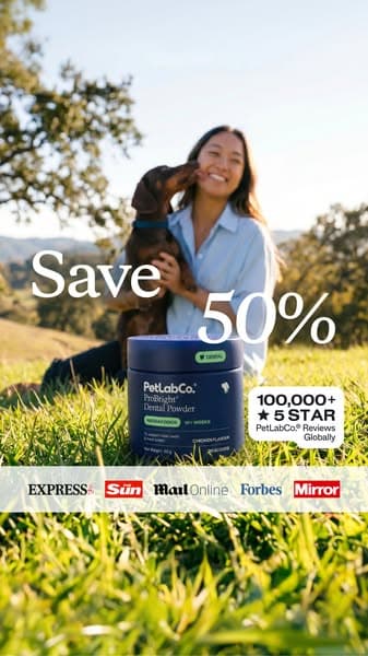 50% OFF Dog Dental Powder | Powerful Daily Support