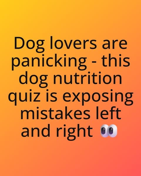 Can You Pass This Dog Nutrition Quiz?
