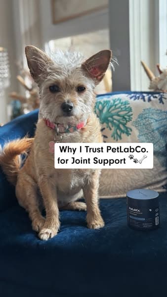 A more active dog, or your money back… felt like a win-win 🐕