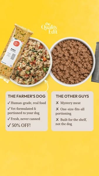 Why Our Editors Recommend The Farmer’s Dog (Now 50% Off)