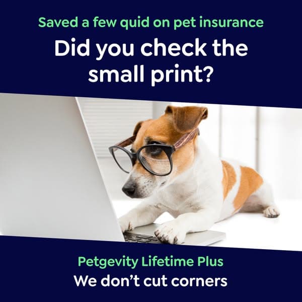 Lifetime Protection, for Less
