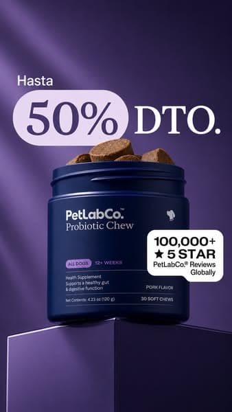 Al 92% le encanta desde el día 1