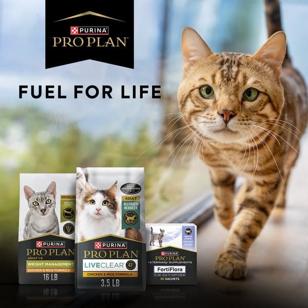 Fuel For Life