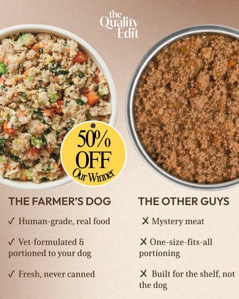 Why Our Editors Recommend The Farmer’s Dog (Now 50% Off)