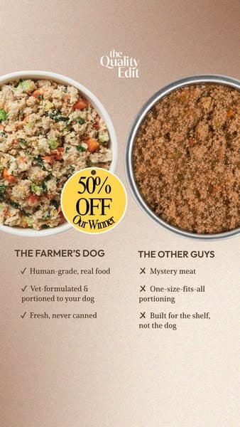 Why Our Editors Recommend The Farmer’s Dog (Now 50% Off)