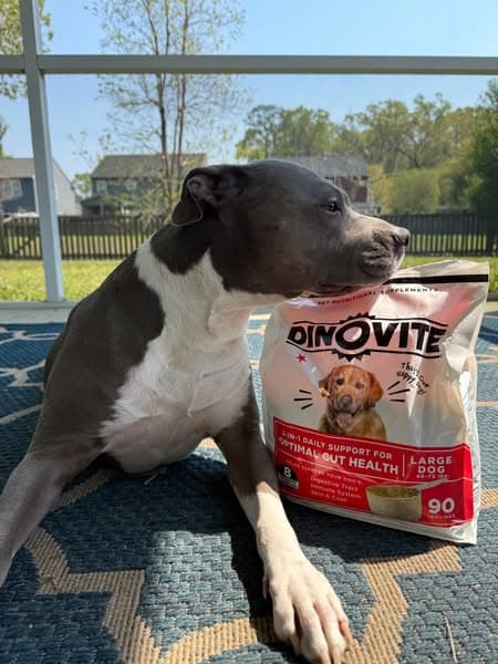 20% Off New Dental Chews!