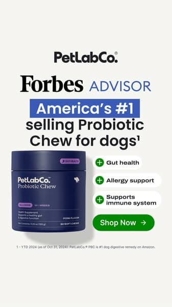 America's #1 Selling Dog Probiotic Chew