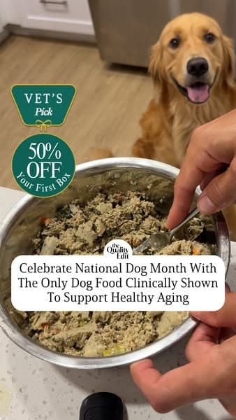 Why Our Editors Recommend The Farmer’s Dog (Now 50% Off)