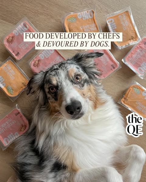 Chef-Developed Recipes