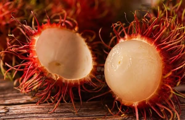 These Foods Are Banned In The US: Here's Why