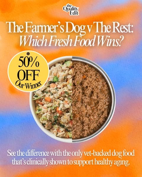 Why Our Editors Recommend The Farmer’s Dog (Now 50% Off)