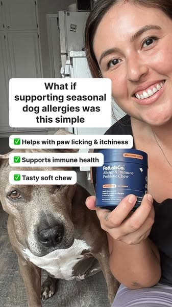 Allergy Support, Made Simple