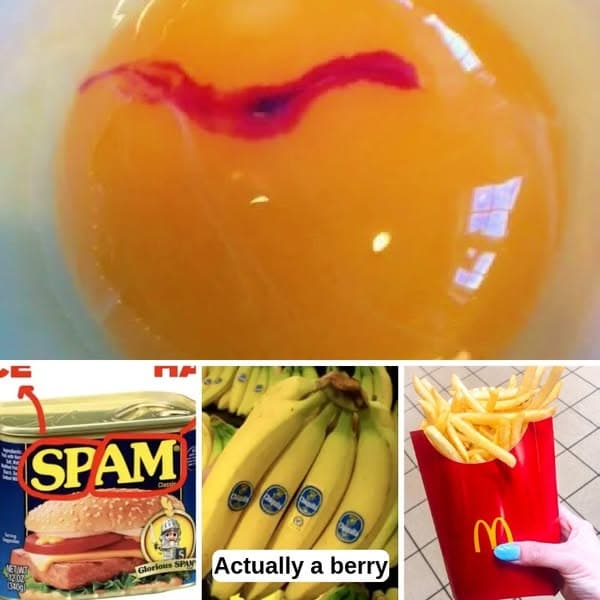 30+ Important Food Facts Most People Have Never Heard
