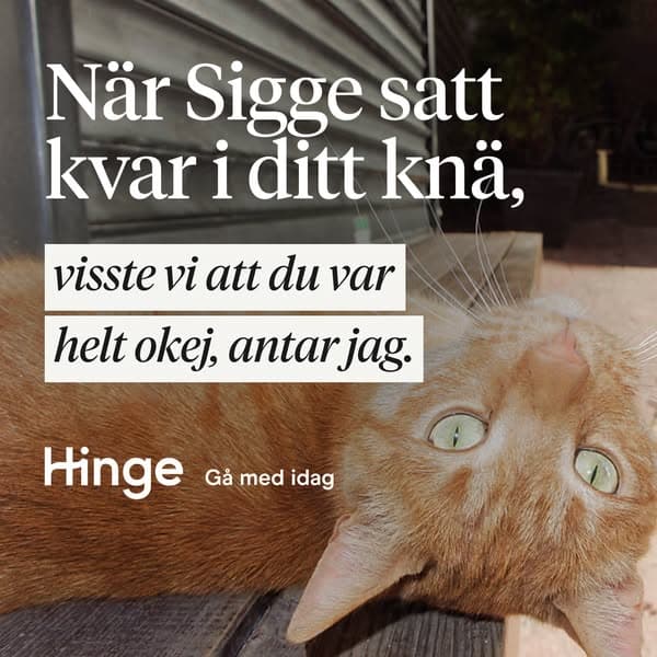 Registrera dig på Hinge idag.