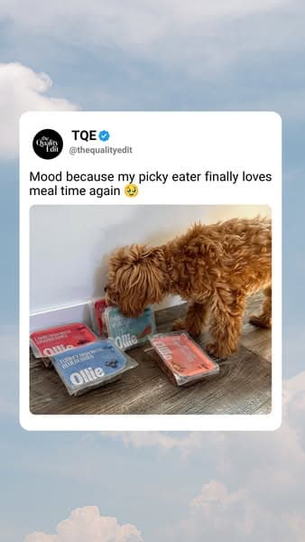 Even The Most Picky Eaters Agree